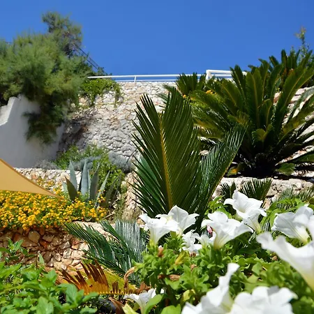 Marinaia - Casa Alba Casa vacanze *